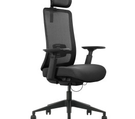 Scaun ergonomic 30.12.102